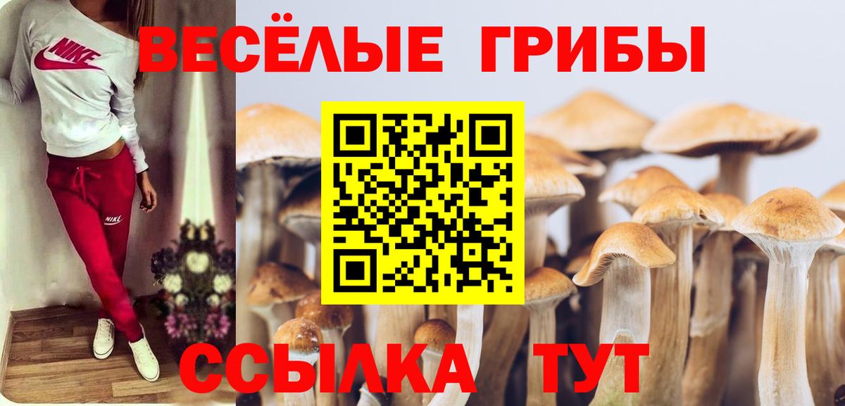 Галлюциногенные грибы Magic Shrooms  Вход с VPN  Абакан  Псилоцибиновые грибы мухоморы 