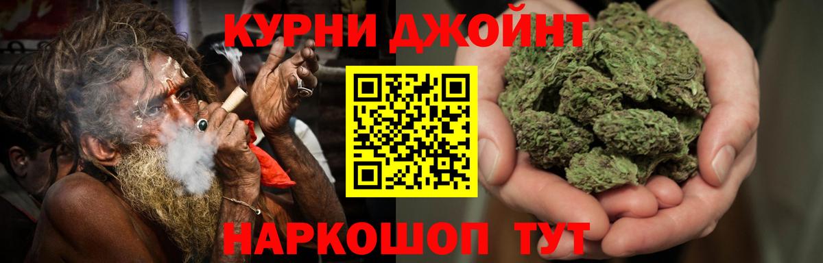 Бошки марихуана конопля Абакан